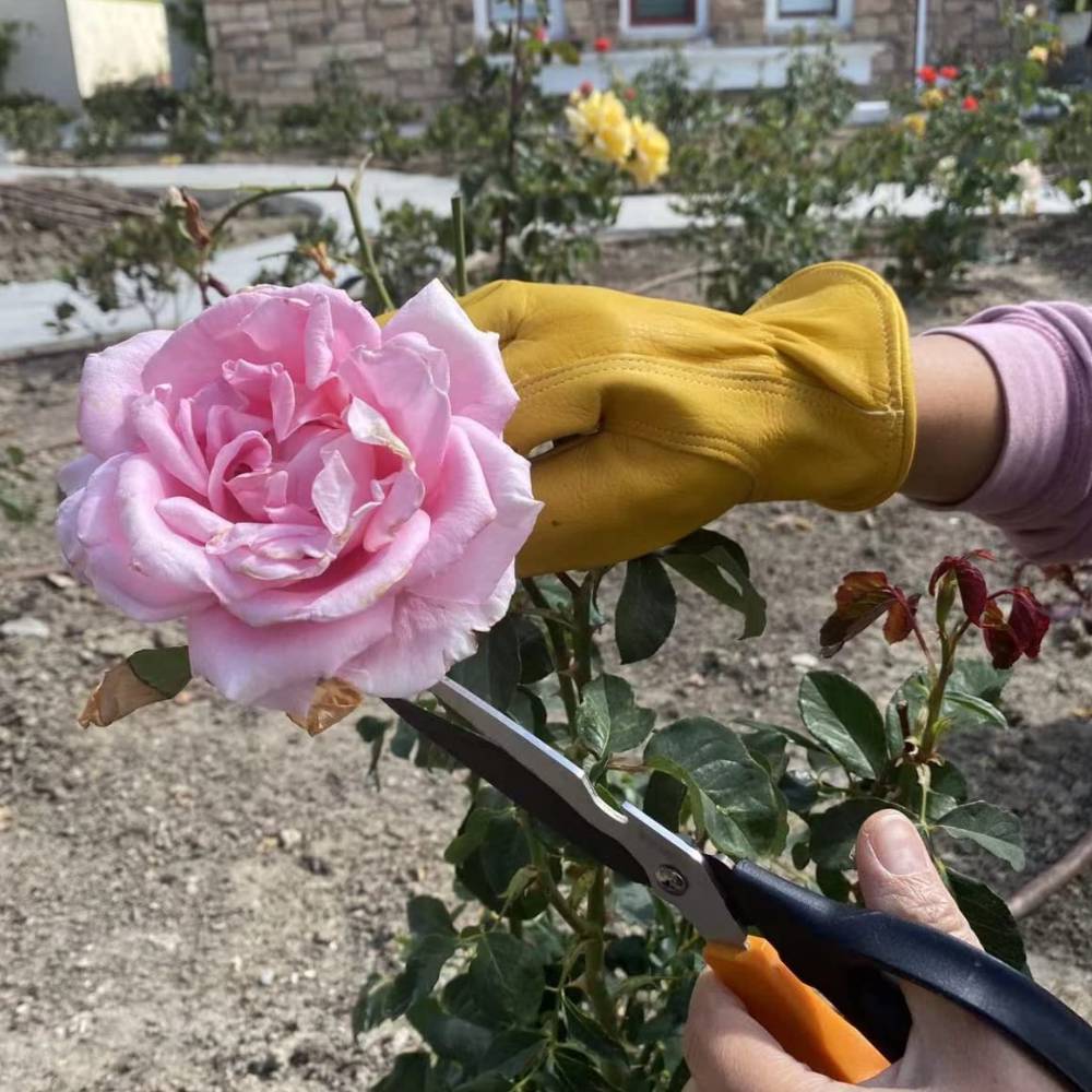 Leather Gardening Gloves (L)