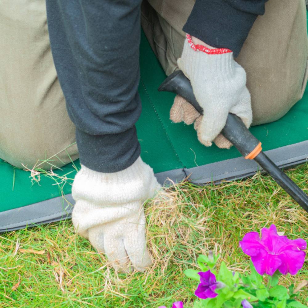 Garden Kneeling Pad: image 5