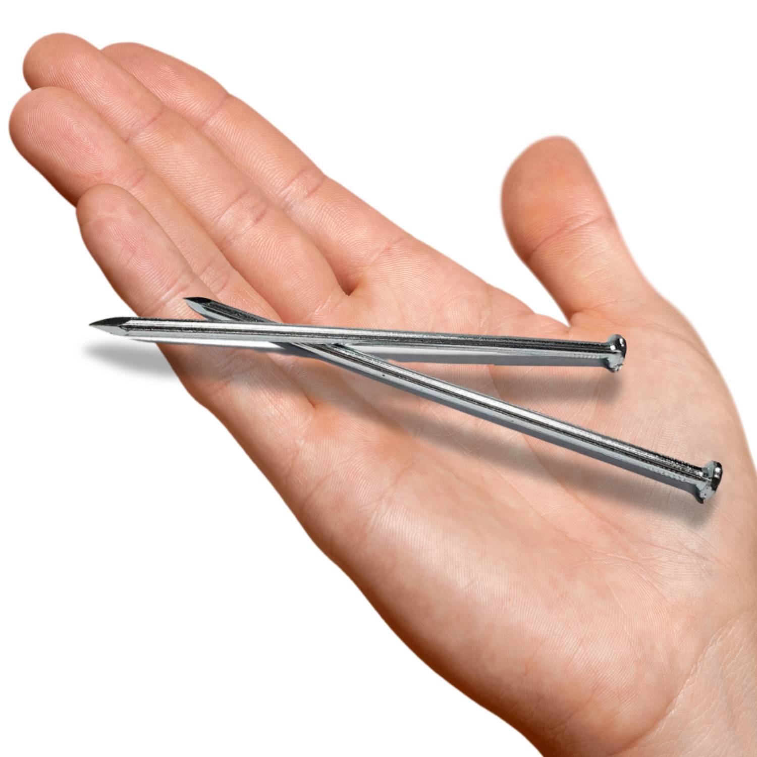 Metal Landscaping Spikes (pack of 100)