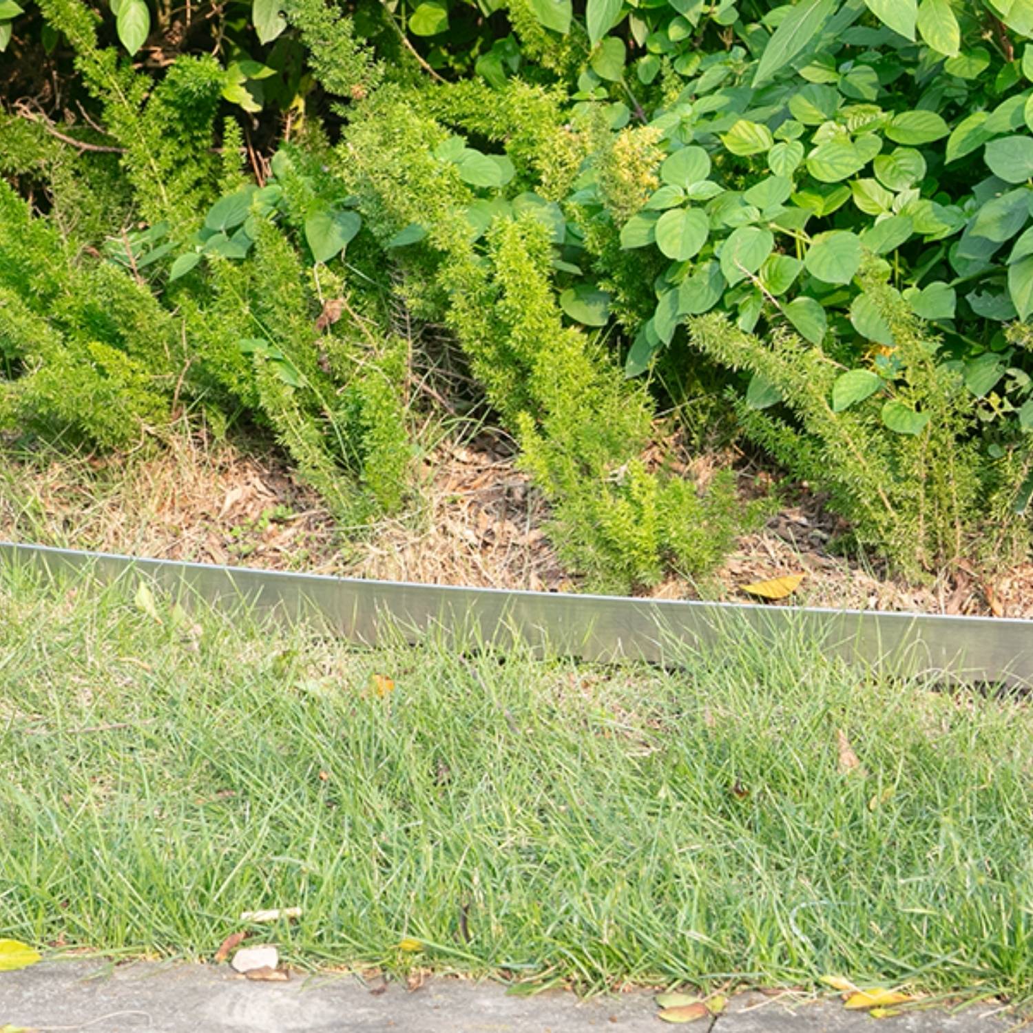 Stainless Steel Landscape Edging 50 mm (per metre): image 11