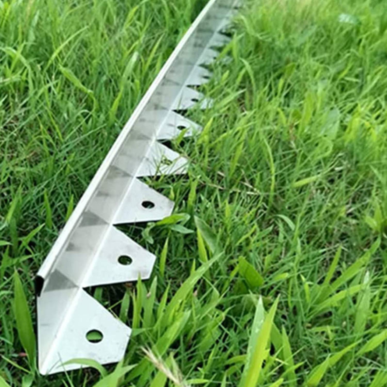Stainless Steel Landscape Edging 50 mm (per metre): image 15