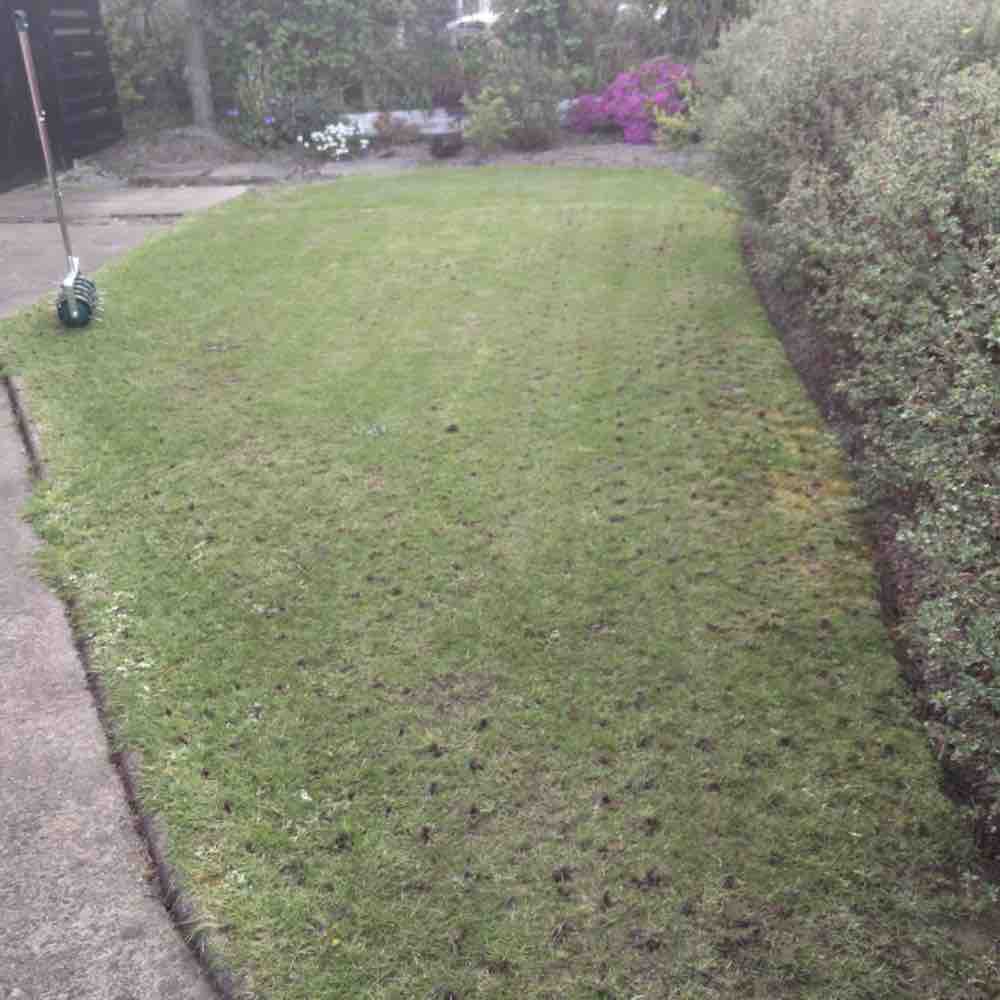 Grass Spike Roller: image 1