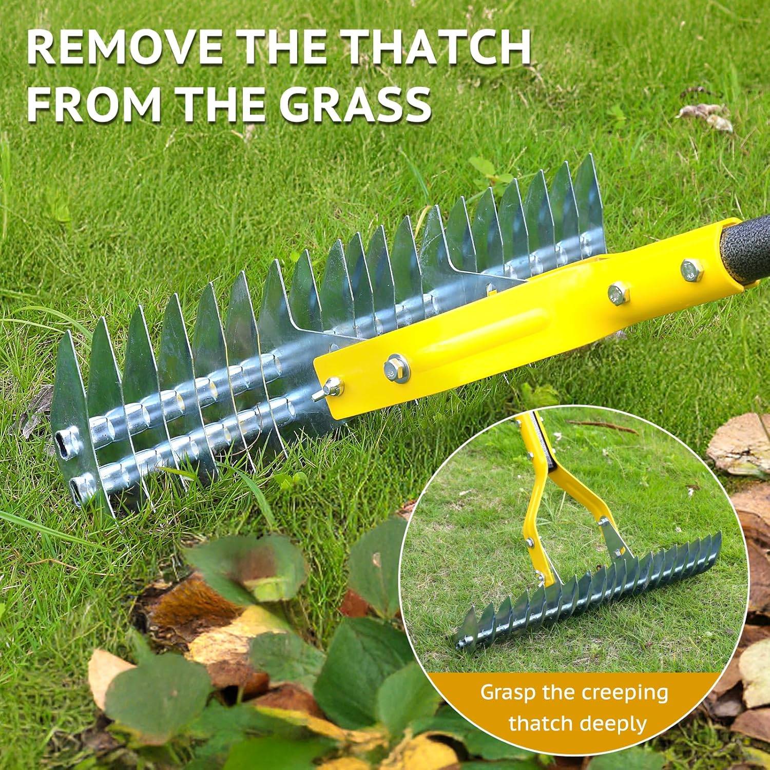 Lawn Thatcher Rake: image 2