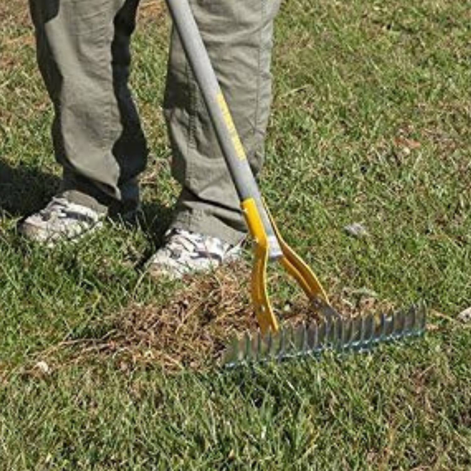 Lawn Thatcher Rake: image 3