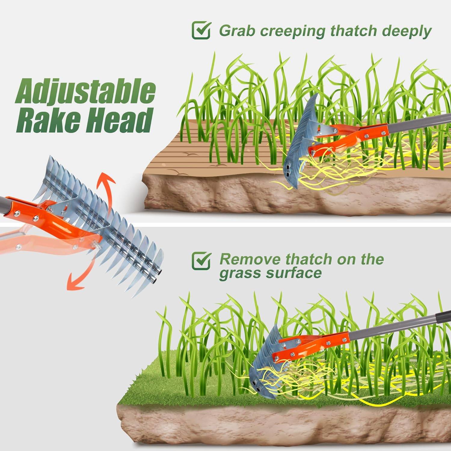 Lawn Thatcher Rake: image 4
