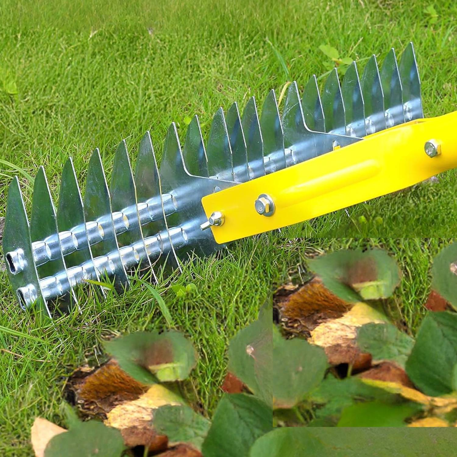 Lawn Thatcher Rake: image 8