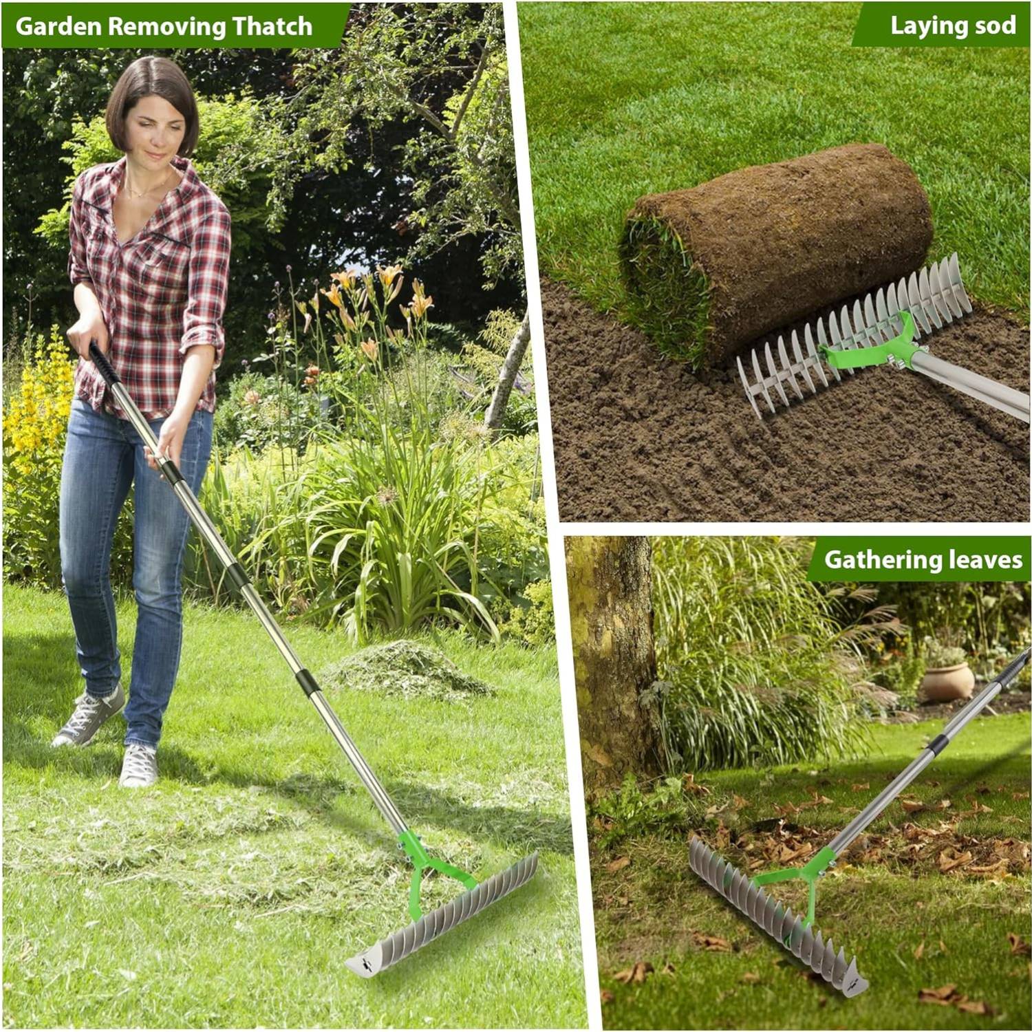 Lawn Thatcher Rake: image 9
