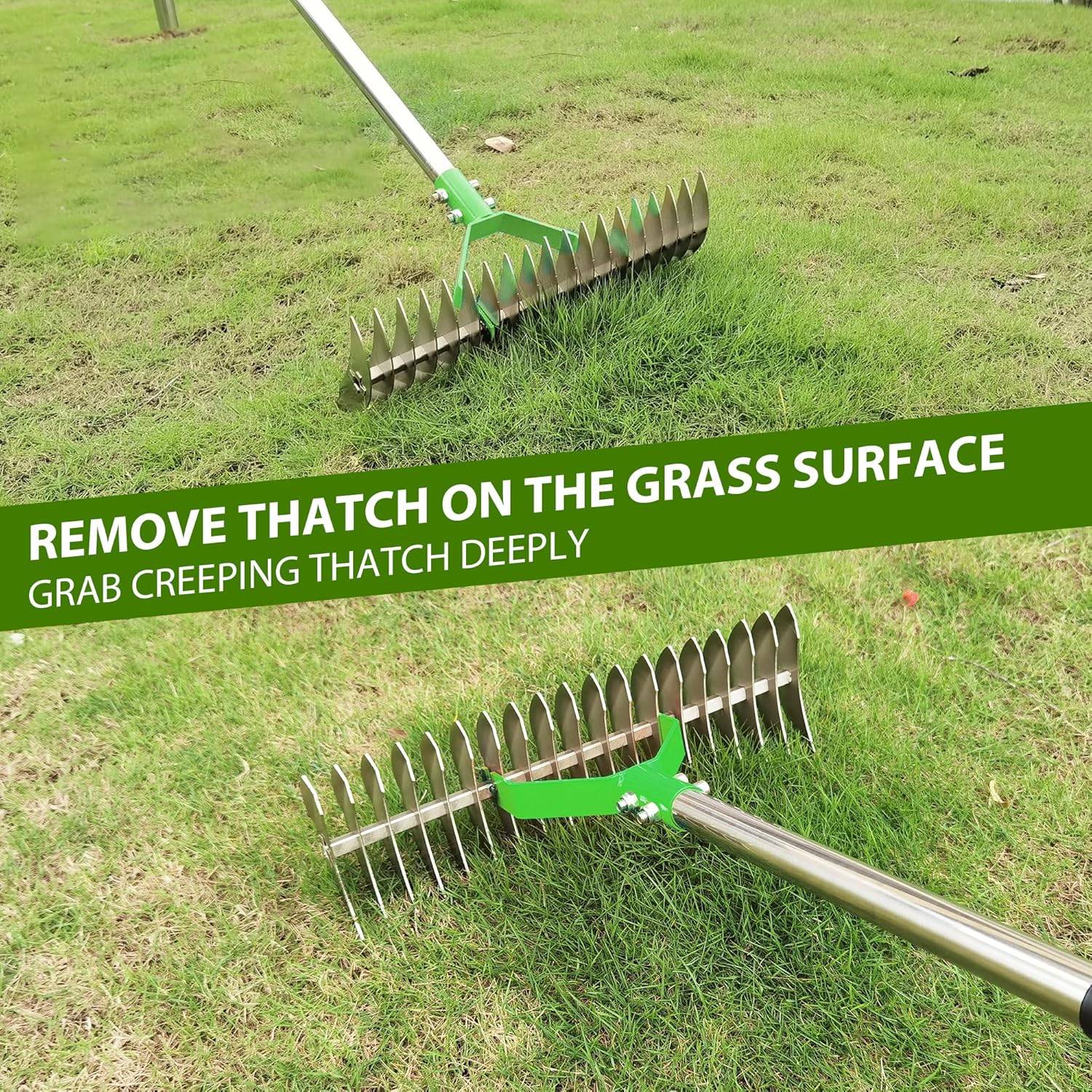 Lawn Thatcher Rake: image 11